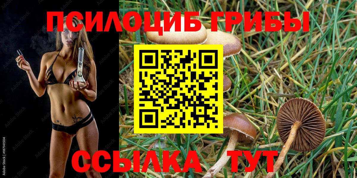 Псилоцибиновые грибы Psilocybine cubensis Кувандык