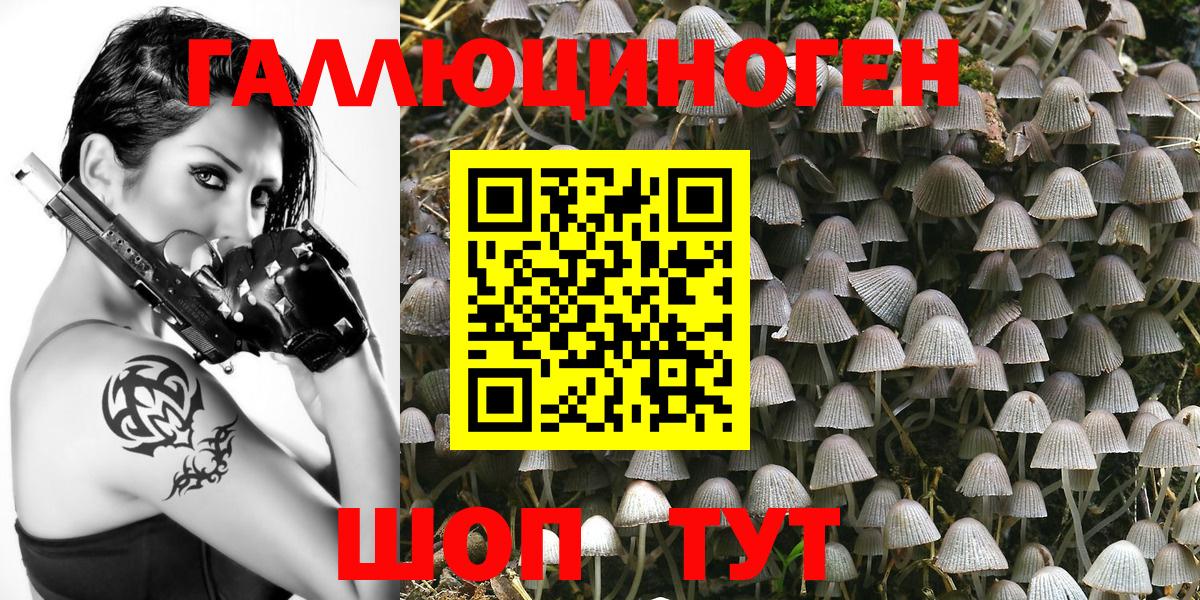 Кувандык  закладка  Вход с VPN  Галлюциногенные грибы MAGIC MUSHROOMS  Галлюциногенные грибы прущие грибы 